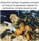 Прикрепленное изображение: 1581669324.jpg