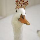 Прикрепленное изображение: unnamed.jpg