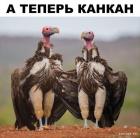 Прикрепленное изображение: 1582020742.jpg