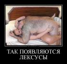 Прикрепленное изображение: C__Data_Users_DefApps_AppData_INTERNETEXPLORER_Temp_Saved Images_tmb_2506120010143402.jpg