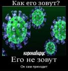 Прикрепленное изображение: Коронавирус - его не зовут, он сам приходит.jpg