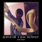 Прикрепленное изображение: photo_2019-09-09_19-01-37.jpg