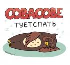 Прикрепленное изображение: Сова советует спать.jpg