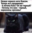 Прикрепленное изображение: 1645035183.jpg