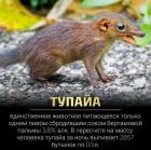 Прикрепленное изображение: 273821351_3629005010557353_9215735686535745486_n.jpg