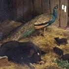 Прикрепленное изображение: diletant_media_273518749_984079342520461_8144954043057871416_n.jpg