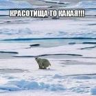 Прикрепленное изображение: 273814943_497594671795356_715656548346436814_n.jpg