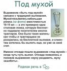 Прикрепленное изображение: Под мухой.jpg