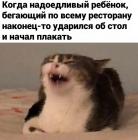 Прикрепленное изображение: Надоедливый ребенок.jpg