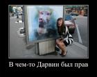Прикрепленное изображение: 1677226105.jpg