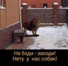 Прикрепленное изображение: u-nas-tolko-kotik_71474.jpg