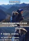 Прикрепленное изображение: Собака видела многое.jpg