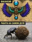 Прикрепленное изображение: Вакансия и работа.jpg