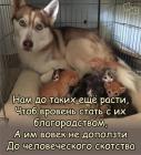 Прикрепленное изображение: Нам до таких еще расти.jpg