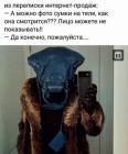 Прикрепленное изображение: 1708641649.jpg