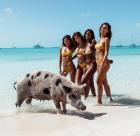 Прикрепленное изображение: Swim_V125.jpg.90cb428fc257dac7ab4bfb5ebcc63c62~2.jpg