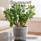 Прикрепленное изображение: Где деньги.jpg