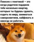 Прикрепленное изображение: Повезло с генетикой.jpg