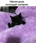Прикрепленное изображение: 1739315330.jpg