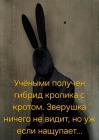 Прикрепленное изображение: 474892616_618249807401538_7101987199076275697_n.jpg