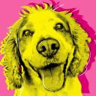 Прикрепленное изображение: ec34141e15f5b589ae2b99dfb5e20422.jpg