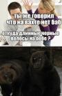 Прикрепленное изображение: 1737309657.jpg