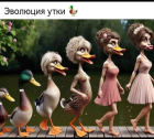 Прикрепленное изображение: Screenshot_20240801-085254~2.png