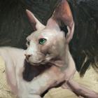 Прикрепленное изображение: IMG_3638.jpg