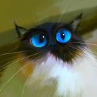 Прикрепленное изображение: eE-UQf9oUgg.jpg