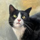 Прикрепленное изображение: IMG_2588.jpg