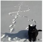 Прикрепленное изображение: 13c09312a82b4056923d76f4d942be28.jpg