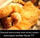 Прикрепленное изображение: x_45723312____________________________________________________________.jpg