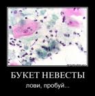 Прикрепленное изображение: 4ehh0cmieqxv.jpg