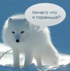 Прикрепленное изображение: писец.jpg