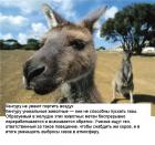 Прикрепленное изображение: OaKAusSy_kI-1.jpg