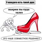 Прикрепленное изображение: IMG_8694.JPG