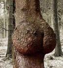 Прикрепленное изображение: IMG_20190324_101352_172.jpg