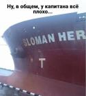 Прикрепленное изображение: sloman her.jpg