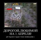 Прикрепленное изображение: 44113234.jpg