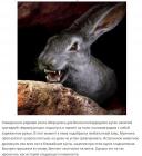 Прикрепленное изображение: 7.jpg