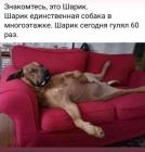 Прикрепленное изображение: 7ACD1AE5-49E1-40BD-B604-35FA9AAFFD5E.jpeg