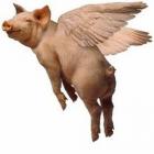 Прикрепленное изображение: 157258029_1114279292377025_8946625449058089081_n.jpg