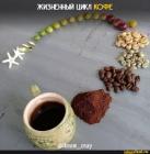 Прикрепленное изображение: 1617038864.jpg