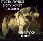 Прикрепленное изображение: Пусть лучше ногу жмёт ботинок, чем руку Олег.jpg