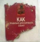 Прикрепленное изображение: Как правильно дрессировать собаку.jpg