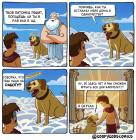 Прикрепленное изображение: Решение питомца рай или ад.jpg