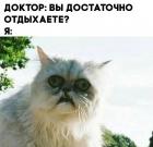 Прикрепленное изображение: Котик недостаточно отдыхает.jpg