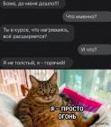 Прикрепленное изображение: 1679819331.jpg
