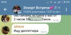 Прикрепленное изображение: Screenshot_2023-03-21-19-34-30-629_org.telegram.messenger.png