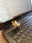 Прикрепленное изображение: 480797901_499179543235035_1307855536802302485_n.jpg